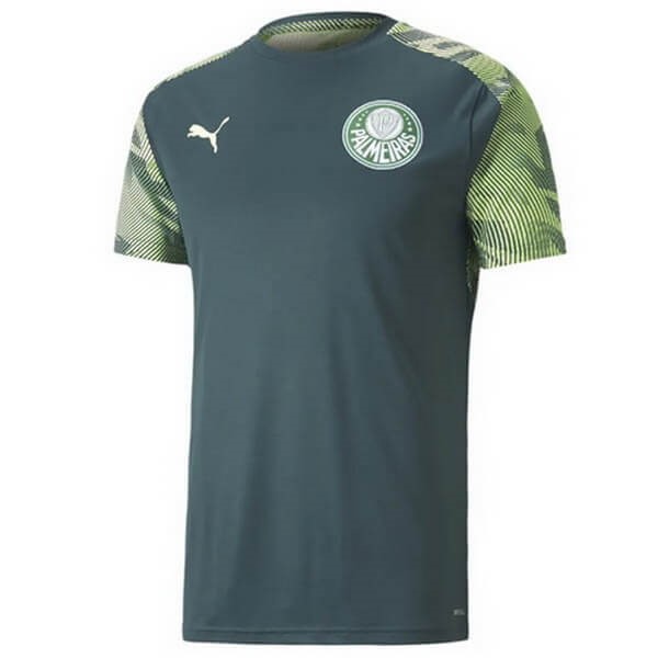 Maillot Football de Entrainement Palmeiras 2020-21 Vert